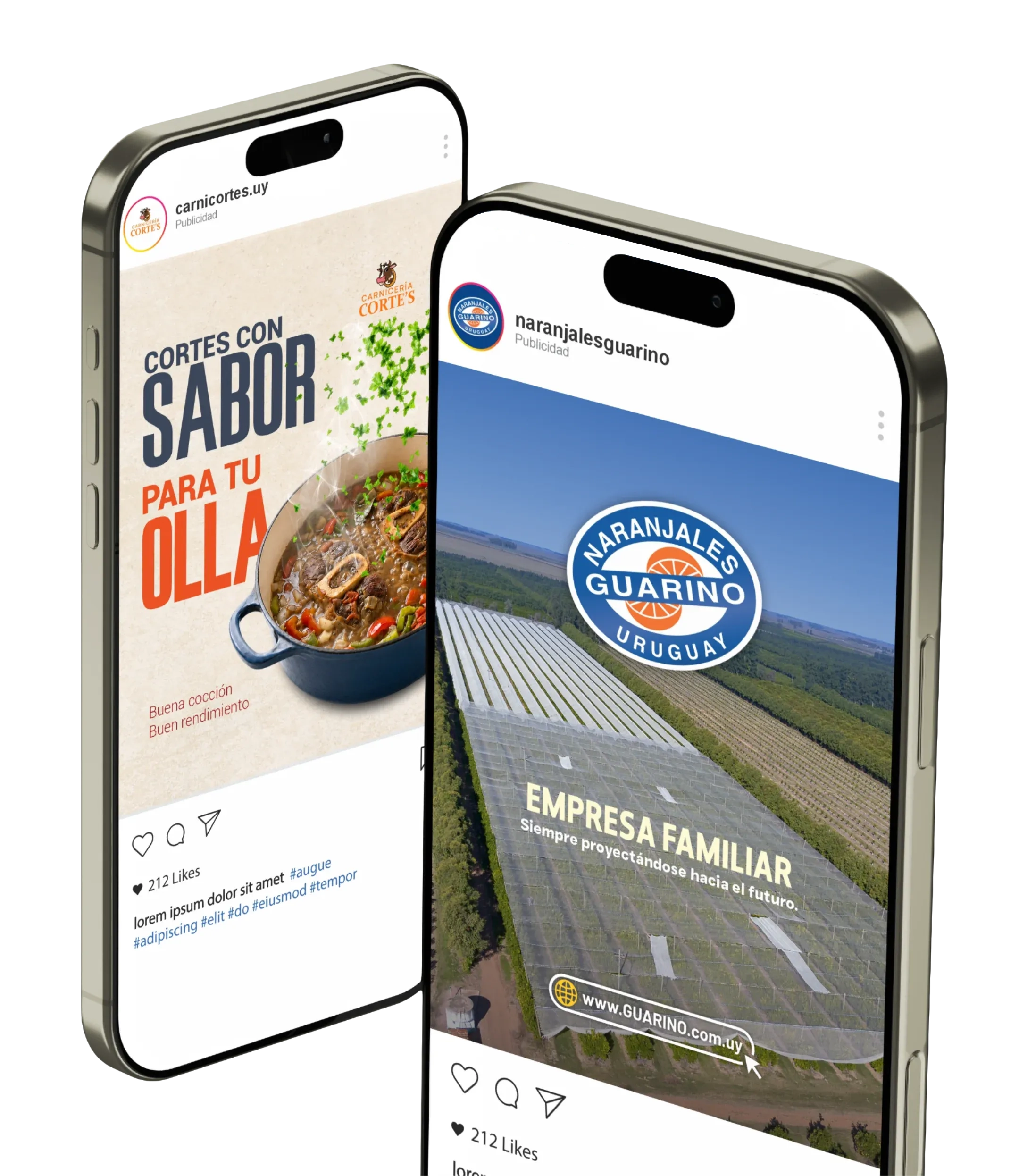 Mockup iPhone Pigmento